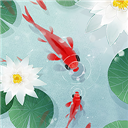 鱼戏荷塘 - 安卓 休闲益智