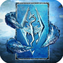 上古卷轴传奇手机版 - 安卓 棋牌桌游