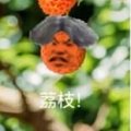 新概念音游 - 安卓 休闲益智