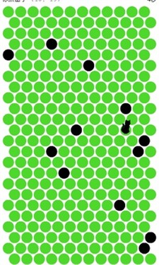 围小猫探险之旅手游:休闲益智下载游戏