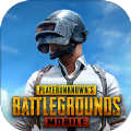 PUBG M(国际服)地铁逃生 - 安卓 动作射击
