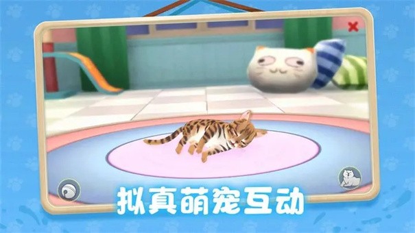 养了个猫内置菜单版截图5