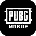 pubgmobile2 - 安卓 动作射击