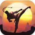 暗影格斗：阴影 最新版 - 安卓 动作射击