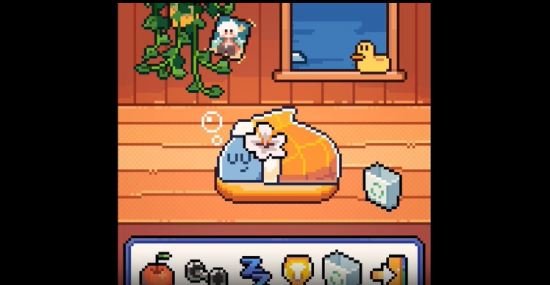 我的小鲨鱼手机版截图1