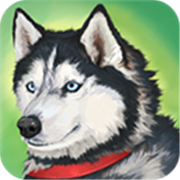 美国zoom动物免费版 - 安卓 休闲益智