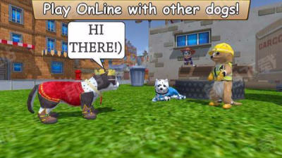 美国zoom动物手机版截图2