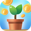 阳光金币屋安卓版 - 安卓 休闲益智