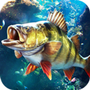 欢乐钓鱼大师官方版 - 安卓 休闲益智
