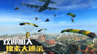 像素生存大逃杀 正版截图1