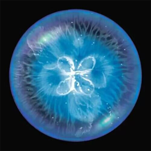 全民星球模拟器下载体验：虚拟现实宇宙探险之旅