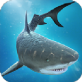 鲨鱼大战鳄鱼 - 安卓 休闲益智