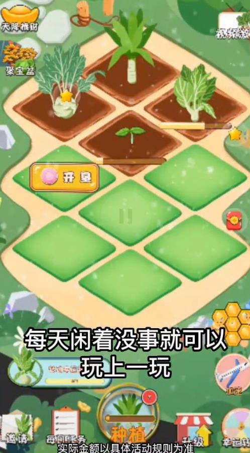 大头菜农场 红包版截图2