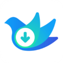 云雀视频下载器 v18.60安卓版 - 安卓 系统工具